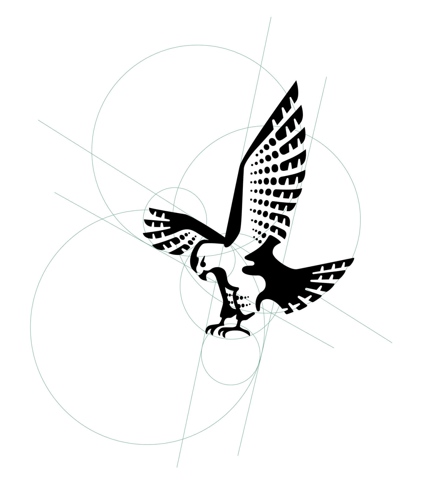 Swarovski Optik