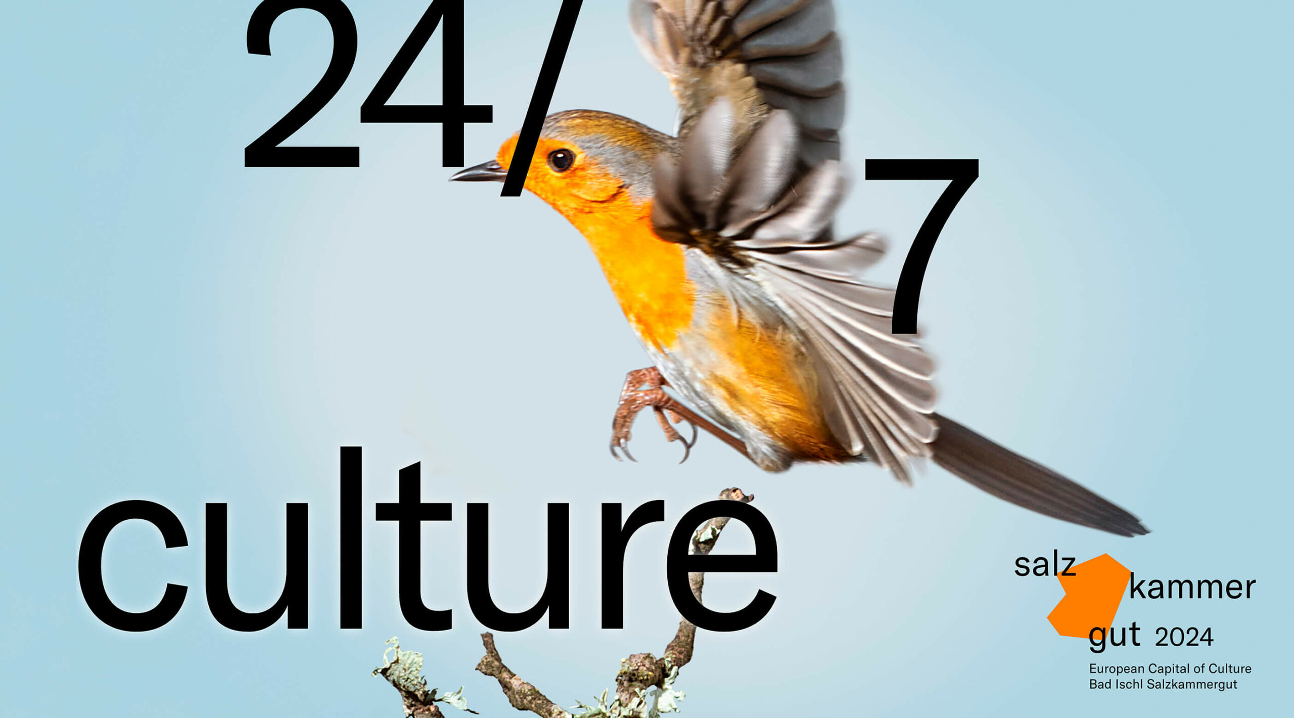 Kulturhauptstadt Salzkammergut 2024